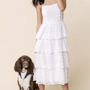 NWT Francesca's White Dot Midi Dress